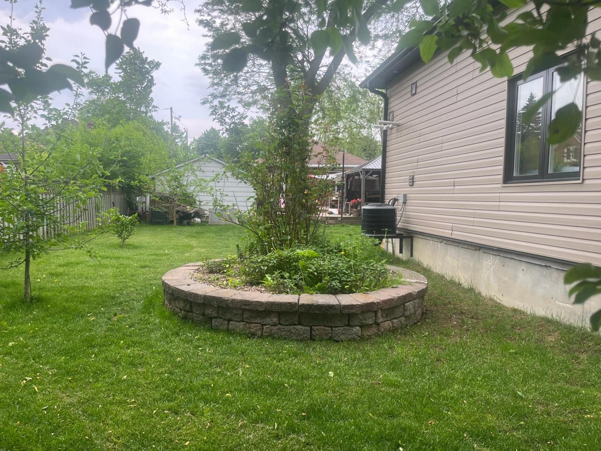 The Grassy Oasis *